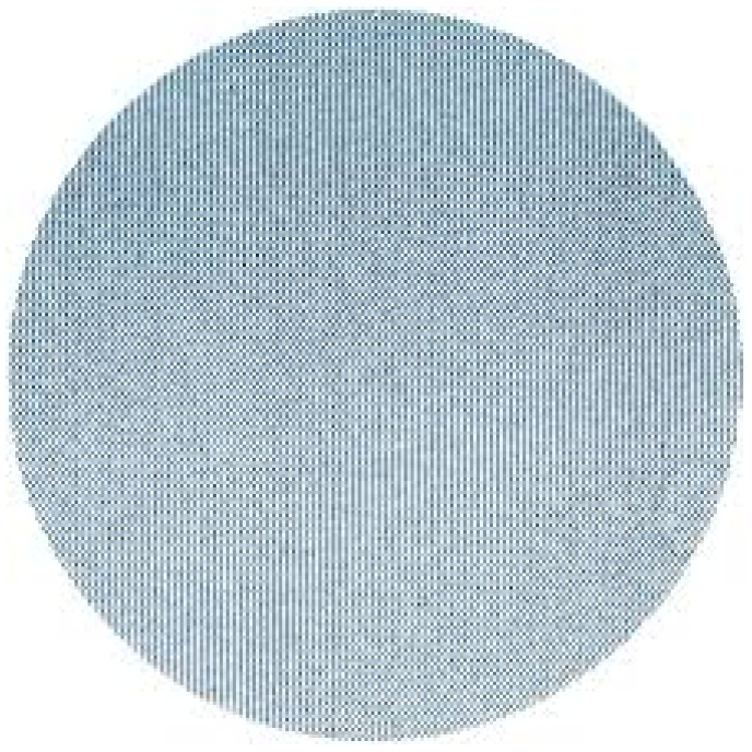 3M JEŽEK DISK 310W Promo 150mm 8kos slika